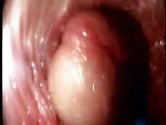 CumCommandos presents: Video from the inside of a vagina... very interesting